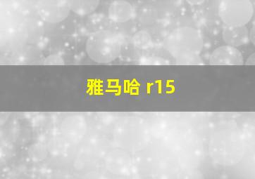 雅马哈 r15